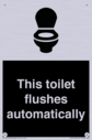 this-toilet-flushes-automatically~